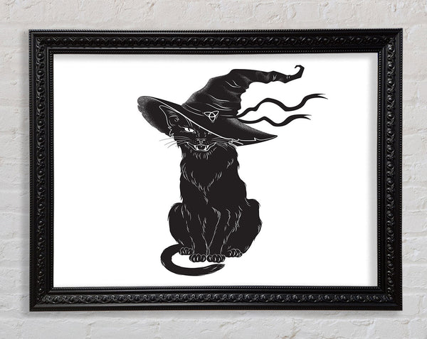 Black Cat Witches Hat