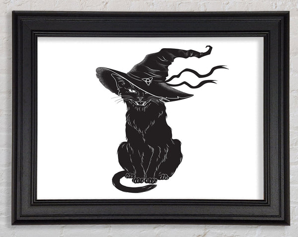 Black Cat Witches Hat