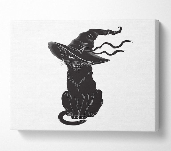 Black Cat Witches Hat