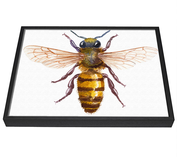 A picture of a Watercolour Bee framed canvas print sold by Wallart-Direct.co.uk