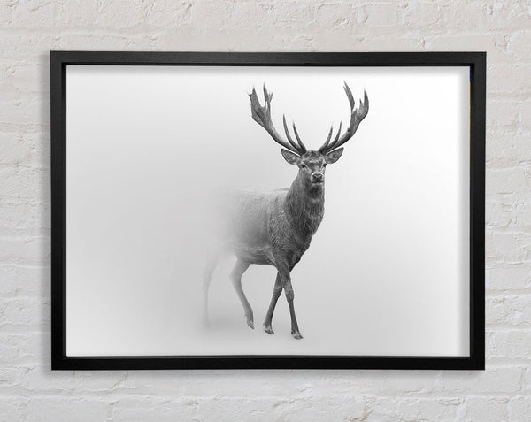 Stag In The Mist