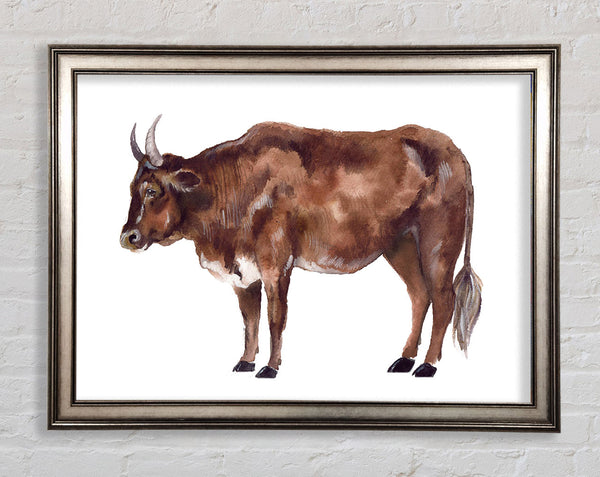 Big Brown Cow