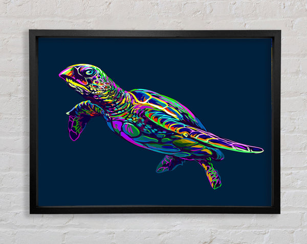 The Colourful Turtle