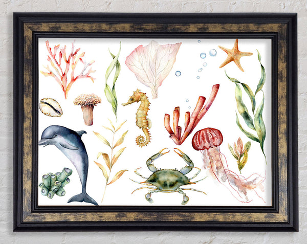 Water Colour Sea Creatures