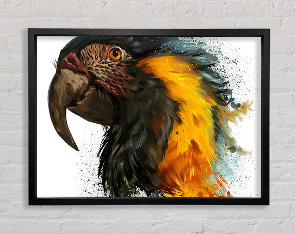 Rainbow Splatter Parrot