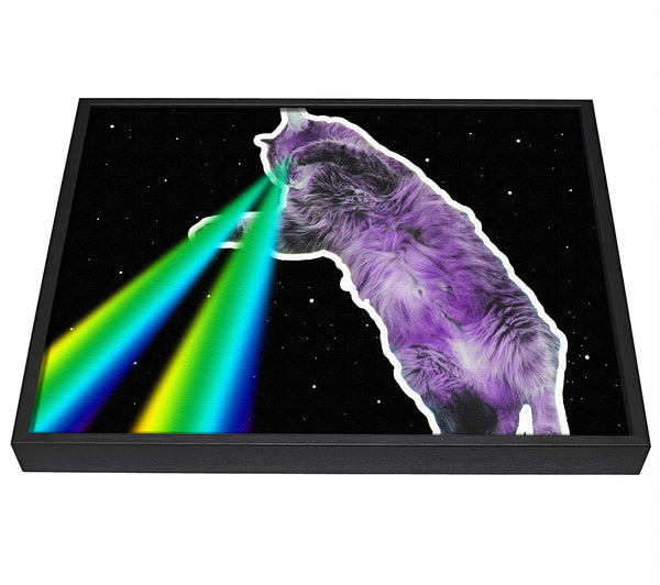 A picture of a Cat Lazer Beam Space framed canvas print sold by Wallart-Direct.co.uk