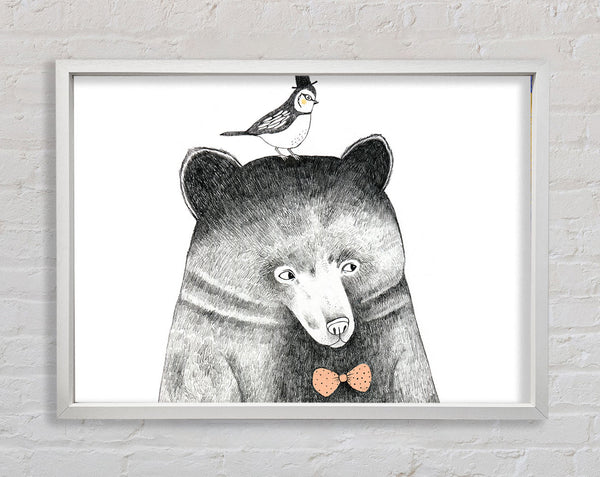 Bird And Bear