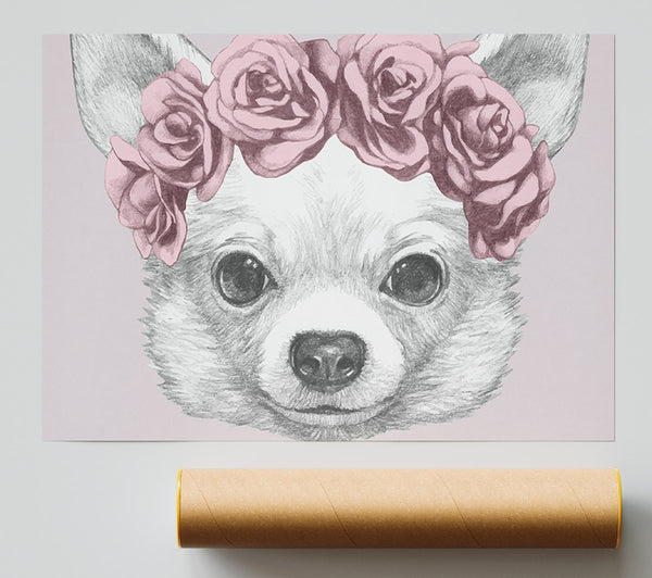 Flower Head Chihuahua