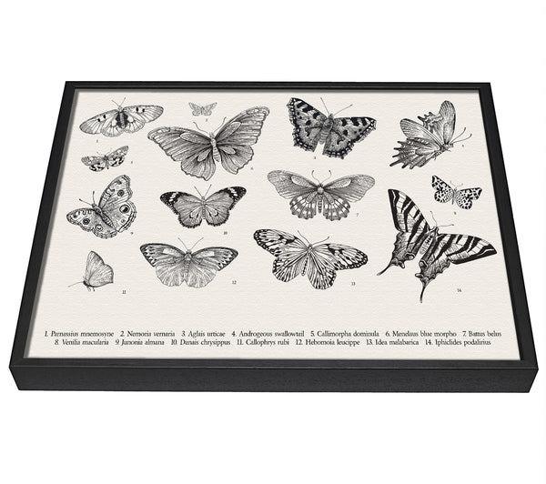 A picture of a British Butterflies framed canvas print sold by Wallart-Direct.co.uk