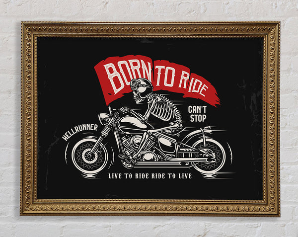 Born To Ride