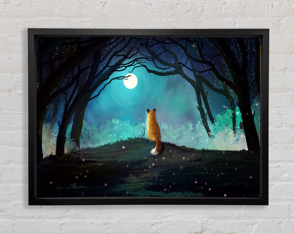 Fox Staring At The Moon