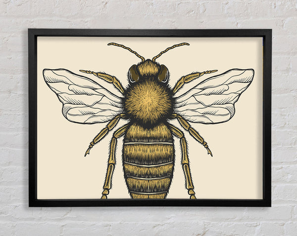 The Lovely Honey Bee