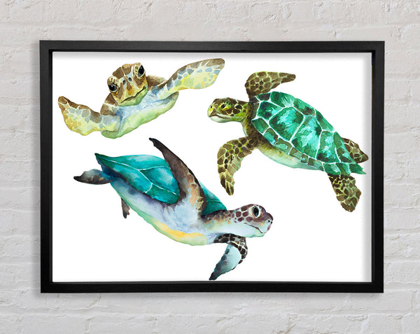 Seaturtle Love