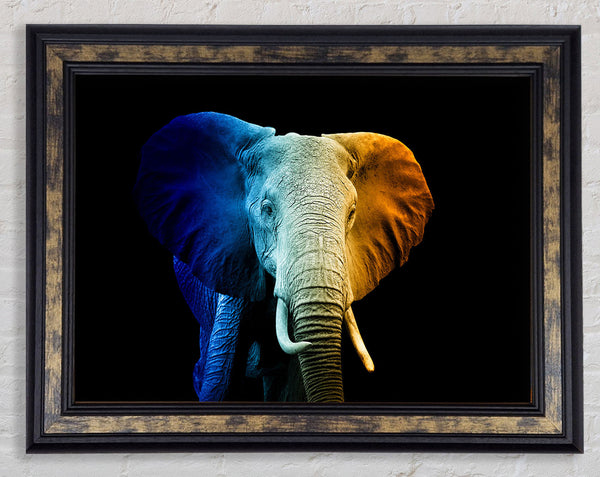 Tri Coloured Elephant