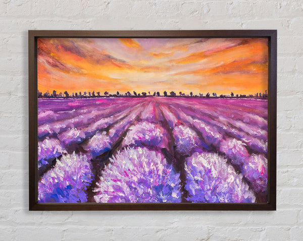 Lavender Fields Supreme