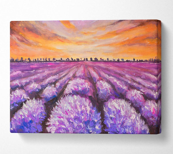 Lavender Fields Supreme