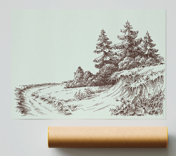 Sketch Of The Canadian Pines