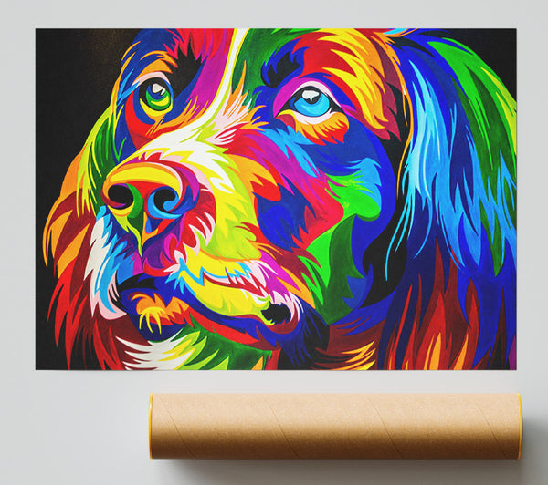 The Stunning Colourful Dog