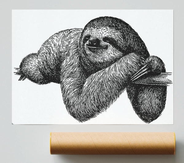 Sloth Chilling On The Branch