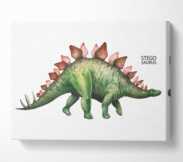 Stegosaurus