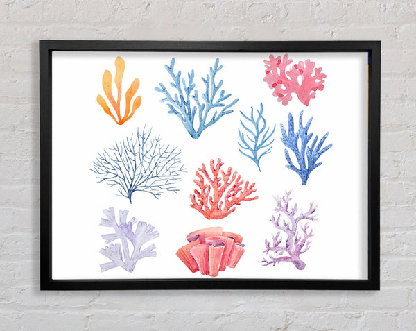 Sea Life Coral