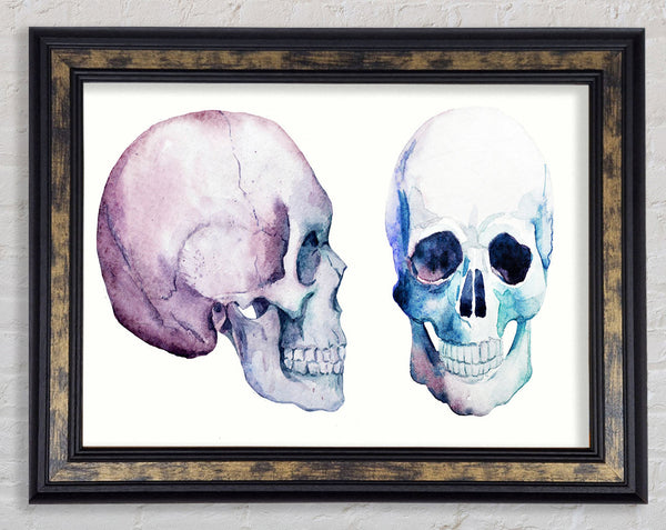 Two Skulls Meet