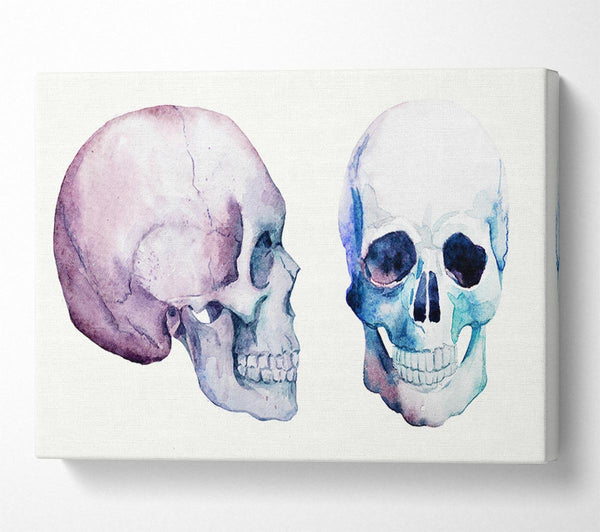 Two Skulls Meet