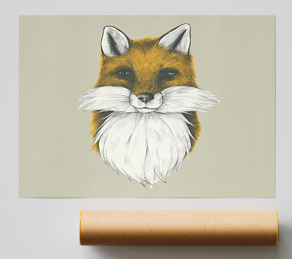 The Fox Face