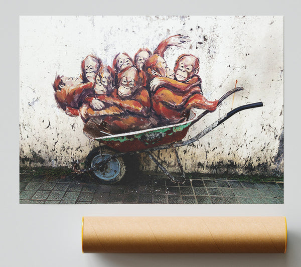 Orangutans In A Wheelbarrow