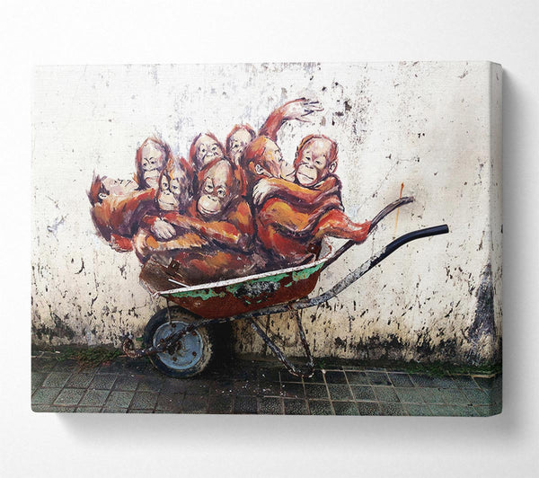 Orangutans In A Wheelbarrow