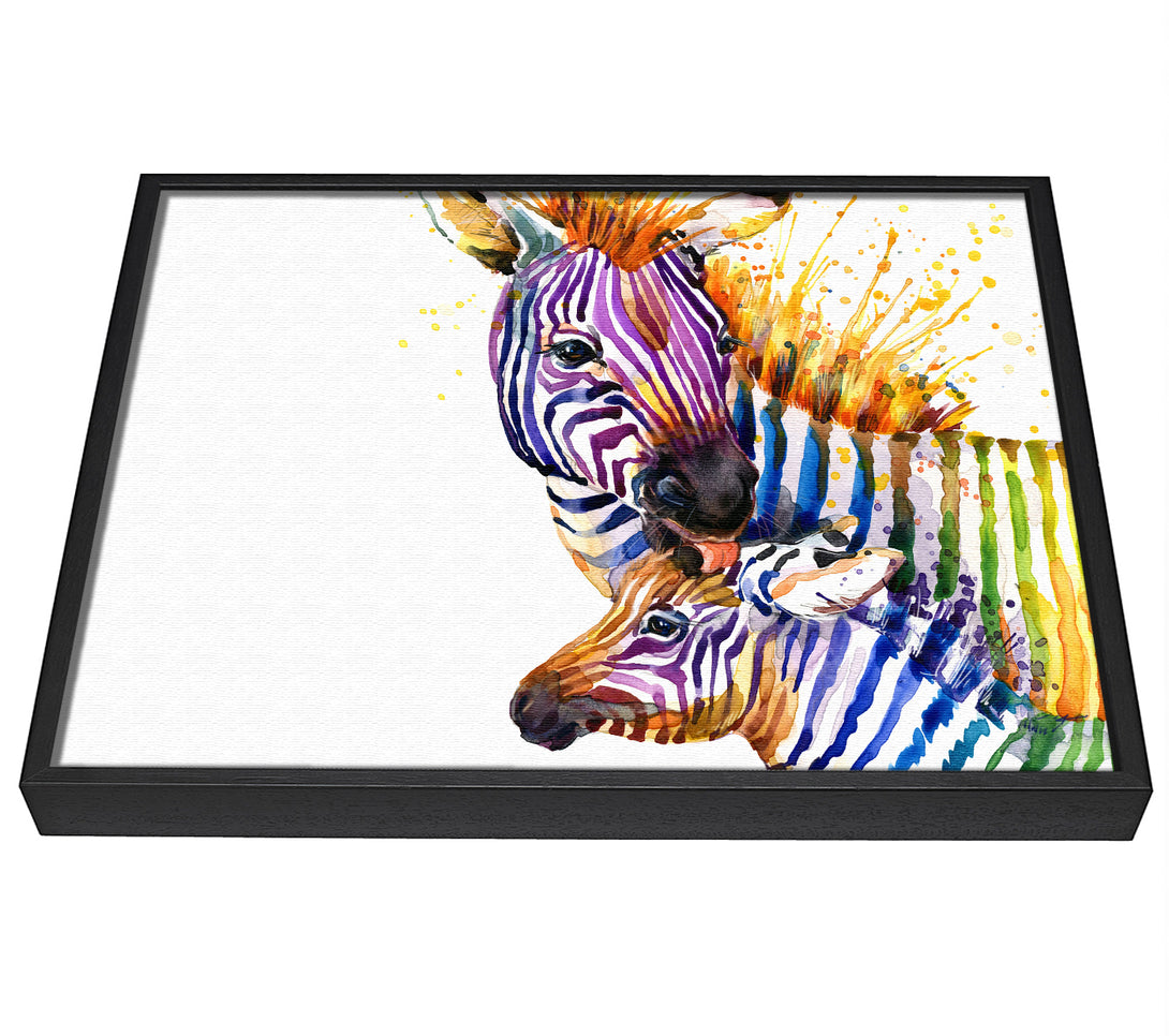 A picture of a Zebra Paint Splatter framed canvas print sold by Wallart-Direct.co.uk