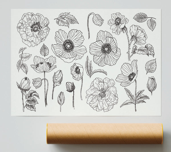 Hand Drawn Flowers Illustration