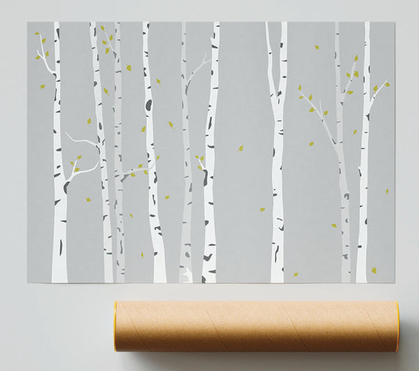 Birch Trees On Grey