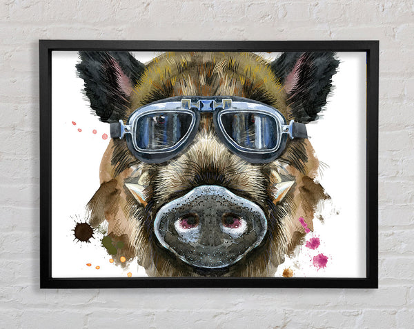 The Boar In Glasses