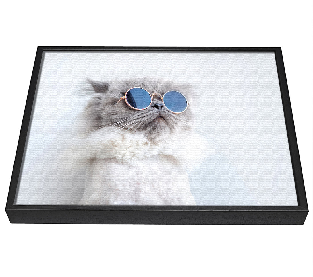 A picture of a The Cat In Glasses framed canvas print sold by Wallart-Direct.co.uk