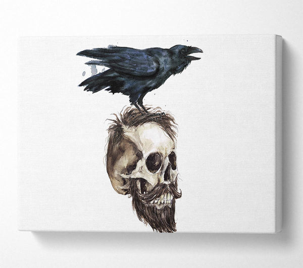 Crow On The Head Of A Skull