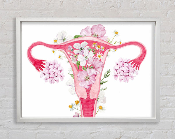 Floral Female Anatomy