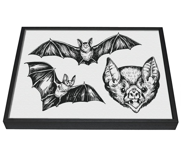 A picture of a The Trio Of Bat Illustrations framed canvas print sold by Wallart-Direct.co.uk