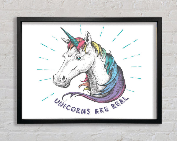 Unicorns Are Real