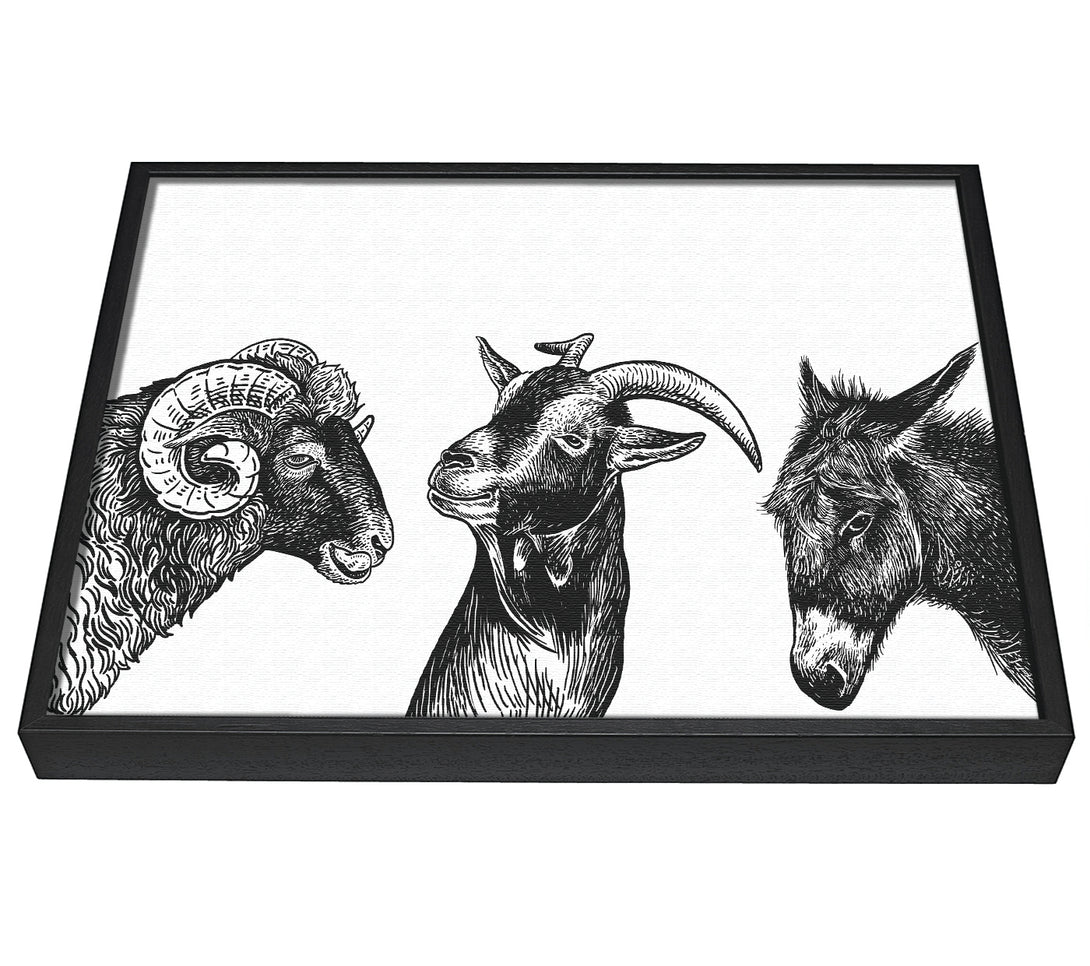 A picture of a Goat Sheep Donkey framed canvas print sold by Wallart-Direct.co.uk