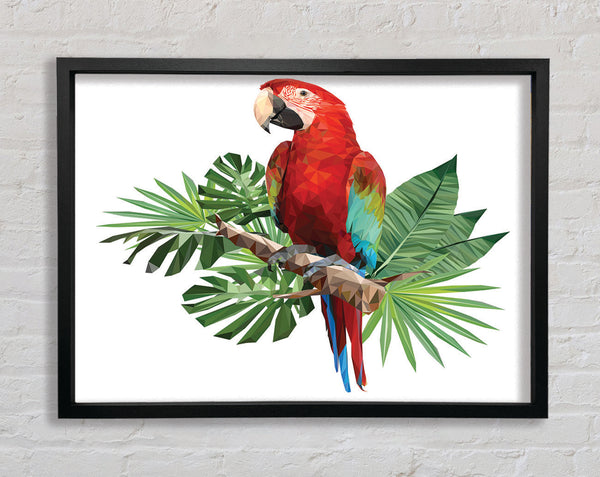 Parrot On A Branch