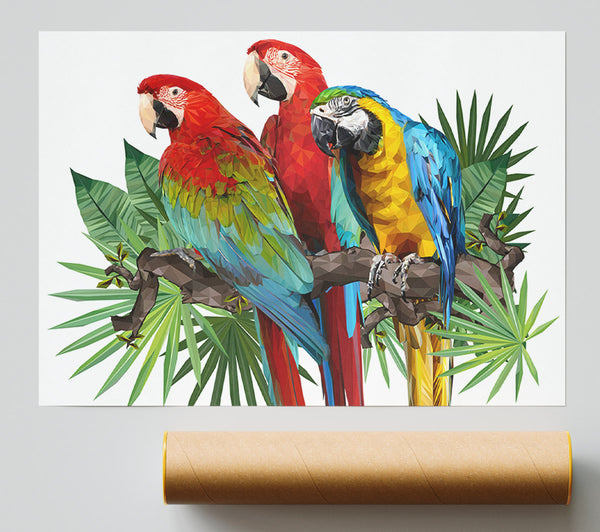 Three Parrots On A Branch