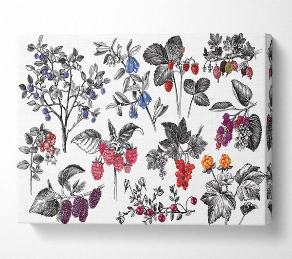 Collage Of Flowers And Berries