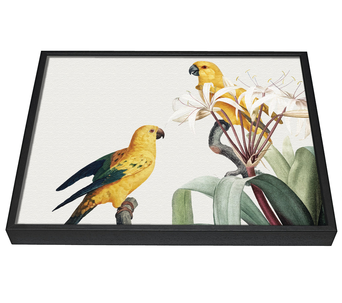 A picture of a Two Yellow Parrots framed canvas print sold by Wallart-Direct.co.uk