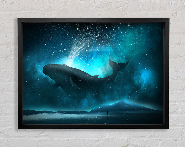 The Whale Of The Universe