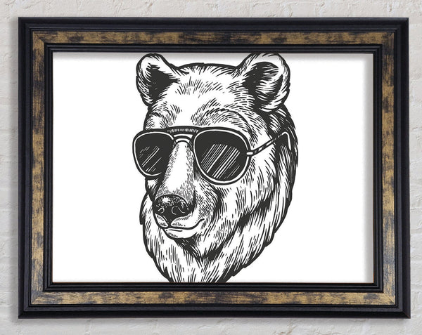 Bear Sunglasses Chill