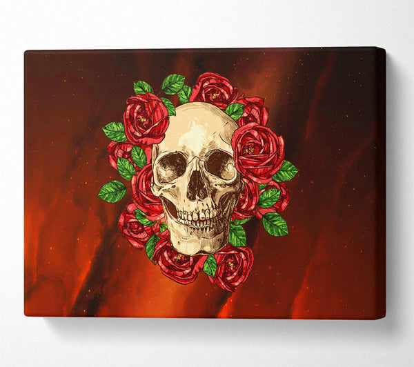 Roses Round A Skull