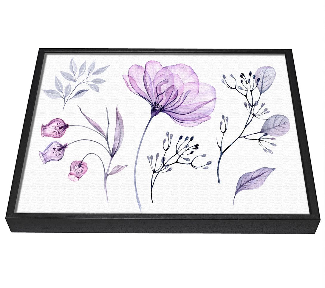 A picture of a Small Lilac Crocus Illustration framed canvas print sold by Wallart-Direct.co.uk