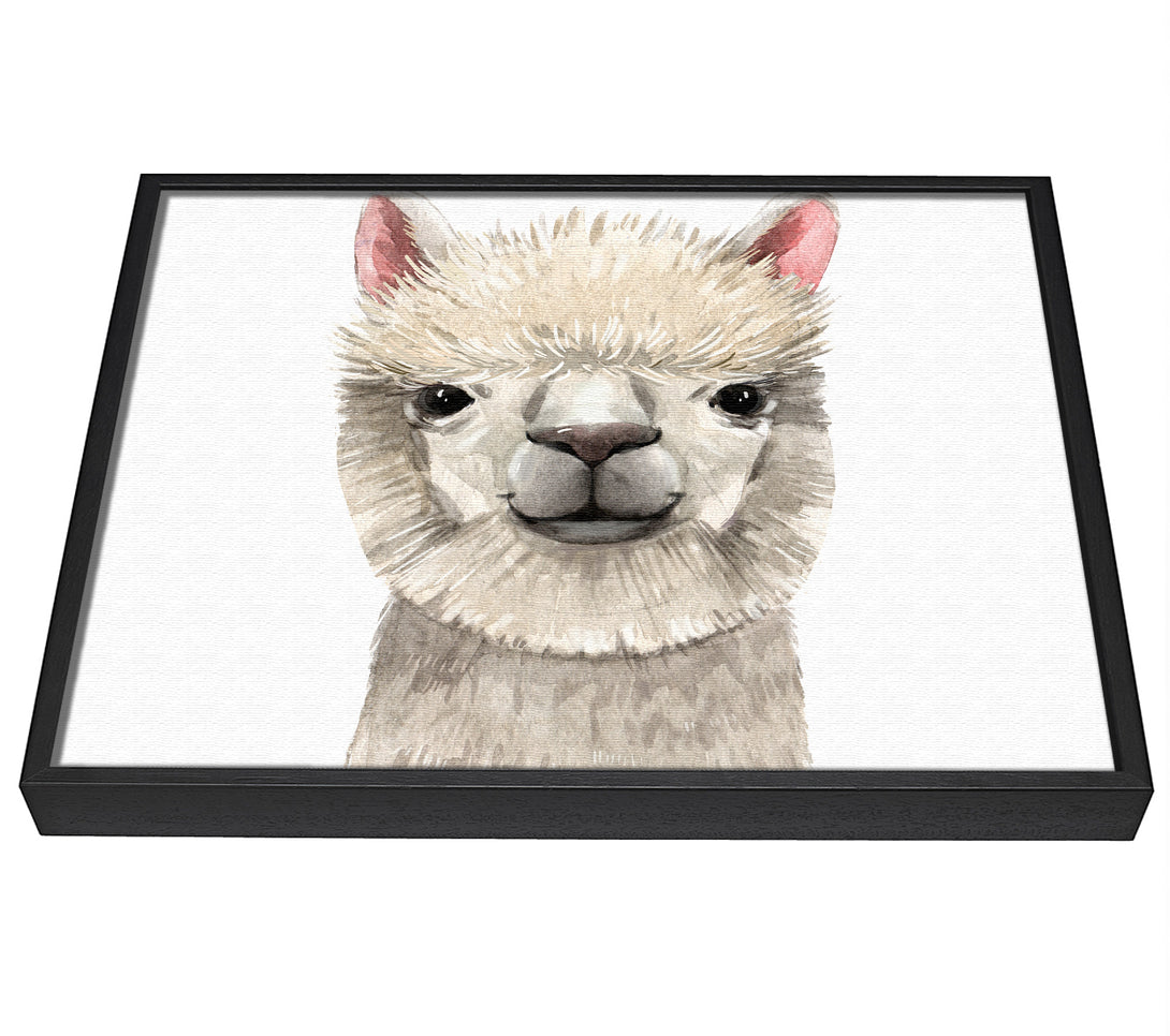 A picture of a Llama Drama framed canvas print sold by Wallart-Direct.co.uk