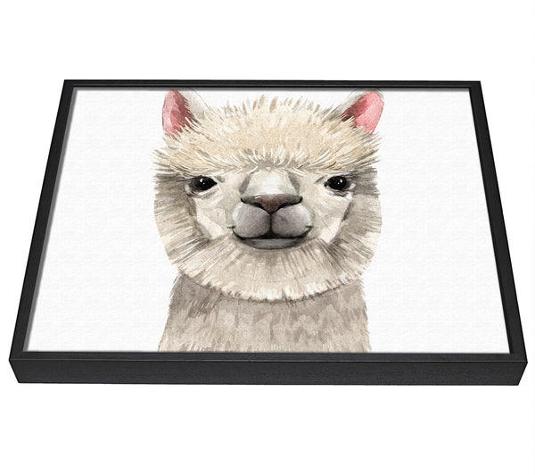 A picture of a Llama Drama framed canvas print sold by Wallart-Direct.co.uk